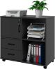 Picture of [ Modern Rolling Stand with Storage ] Black