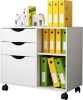 Picture of  [ 3 Drawer File Cabinet with Open Storage Shelves White ]