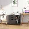 Picture of  [ 3 Drawer File Cabinet with Open Storage Shelves Black ]