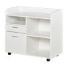 Picture of  [  White Multipurpose Filing Cabinet Printer Stand Mobile Printer Cabinet with 2 Drawers  ]