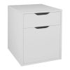 Picture of [ Drawer Vertical Filing Cabinet white ]