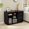 Picture of [ Wide 2 -Drawer Mobile Lateral Filing Cabinet Black ]
