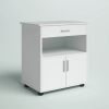 Picture of [ Wide 1 -Drawer Mobile Filing Cabinet White ]