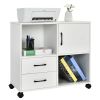 Picture of [  2 -Drawer Mobile Filing Cabinet White ]