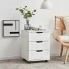 Picture of  [ 3 -Drawer Mobile Vertical Filing Cabinet white ]