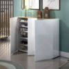 Picture of Palermo White & Lightwood Shoe Cabinet