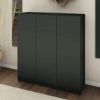 Picture of Lonara Black Shoe Cabinet 
