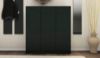 Picture of Lonara Black Shoe Cabinet 