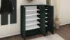 Picture of Lonara Black Shoe Cabinet 