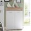 Picture of Lotus White & Lightwood Shoe Cabinet