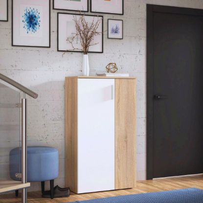 Picture of Corline White & Lightwood Shoe Cabinet