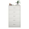 Picture of Aaron White  5-Drawer Unit